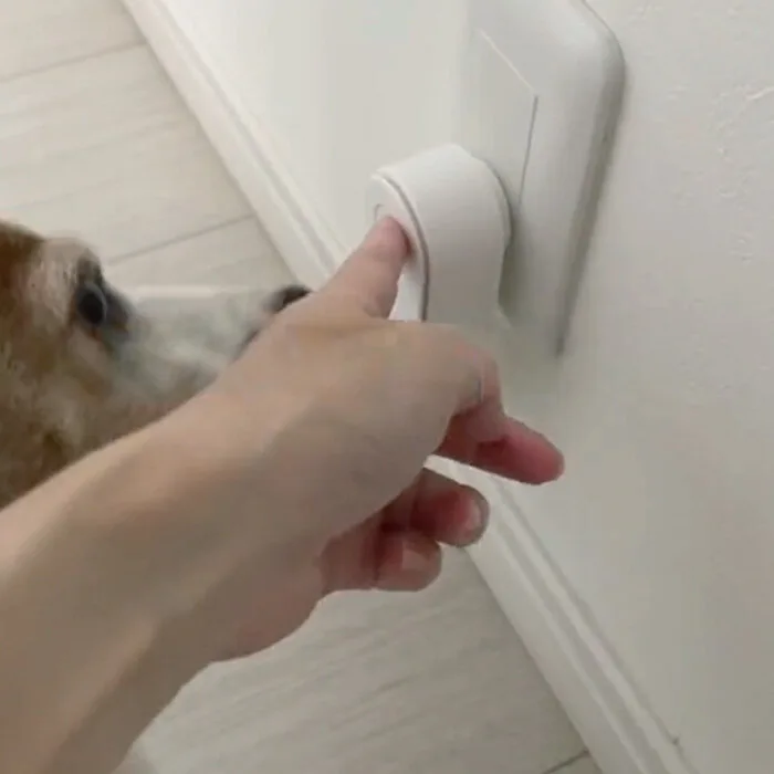 Person pressing the Clairu button while a dog looks on in a hallway with the unit plugged into the wall
