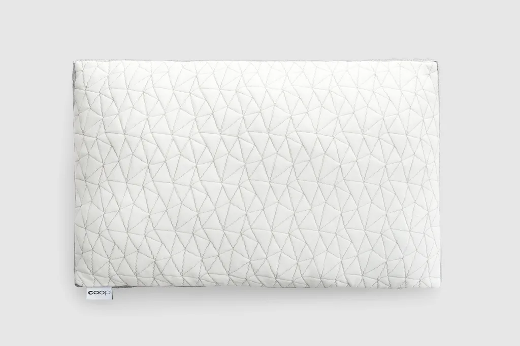 Coop Home Goods Eden pillow on a bed with the extra fill bag beside it