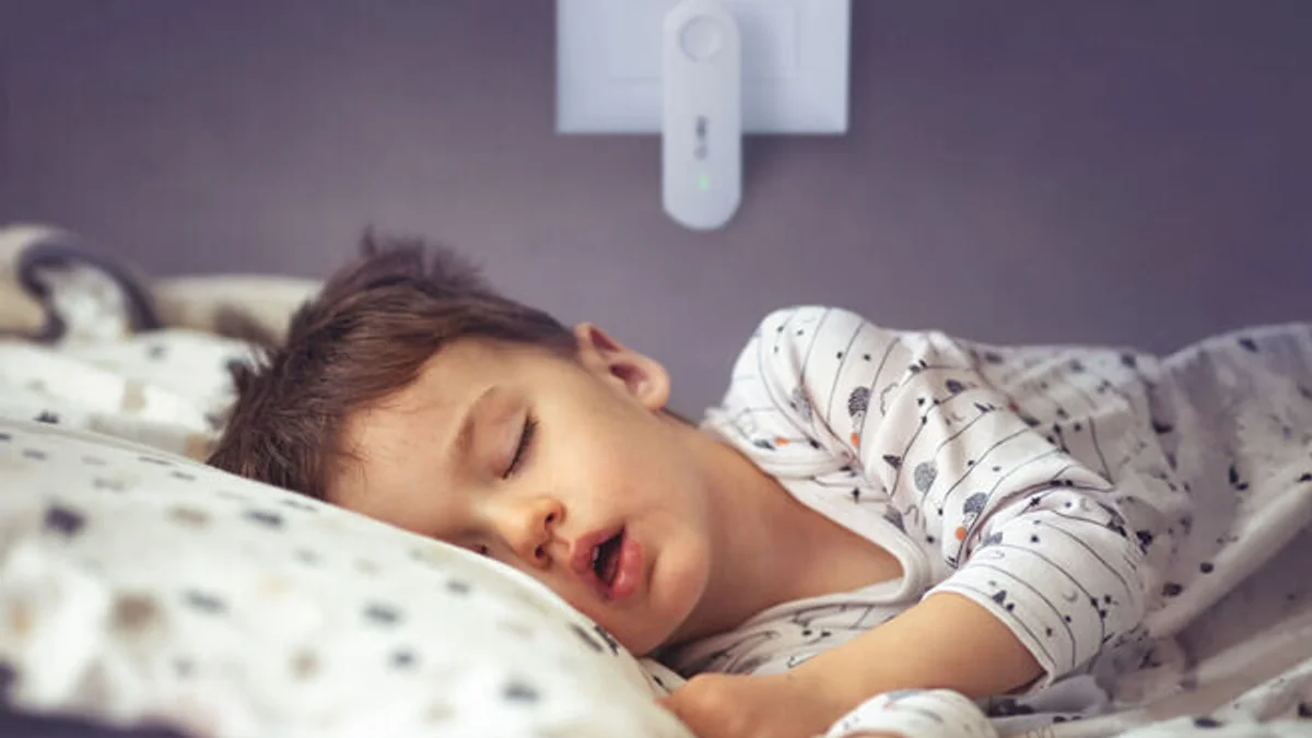 How Many Hours a Day Should You Run an Air Purifier? — how many hours a day should you run an air purifier | GearPuff