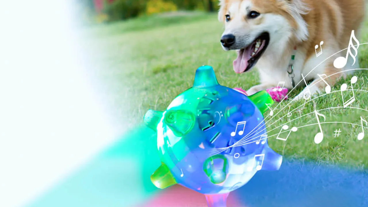 Is PetsBoro Legit? What the Sales Pages and Checkout Show — is petsboro legit | GearPuff