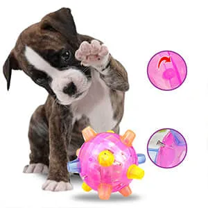 Puppy with a pink bouncing ball and toy controls shown alongside