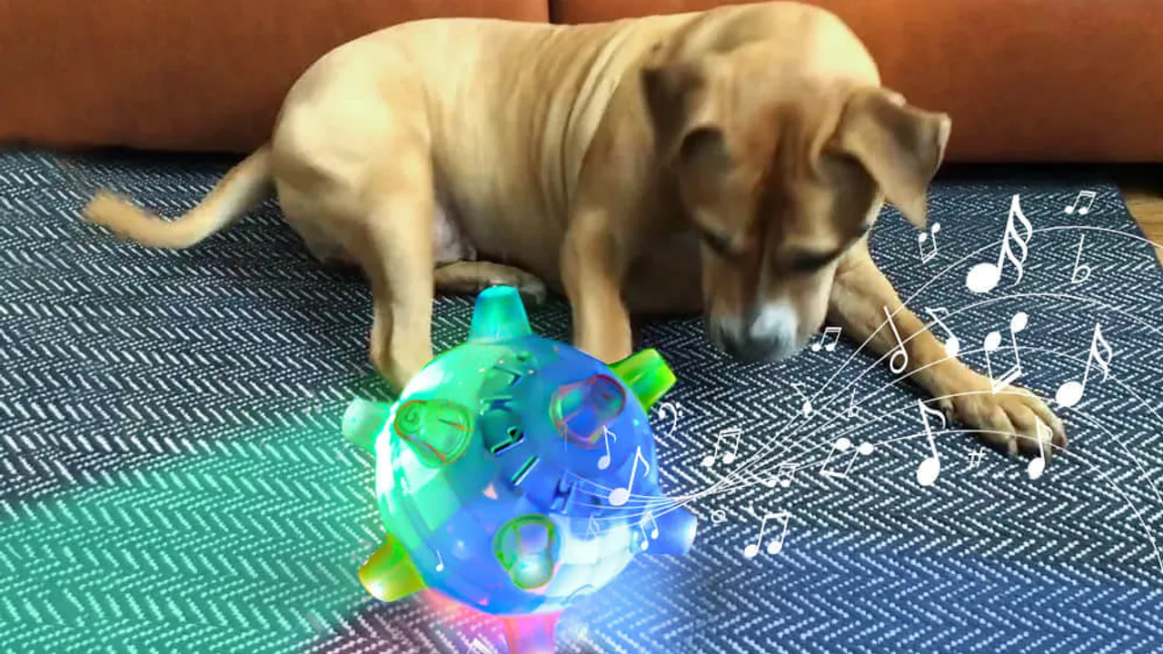 PetsBoro Pet Ball Review 2026: Claims vs Owner Evidence — petsboro pet ball | GearPuff
