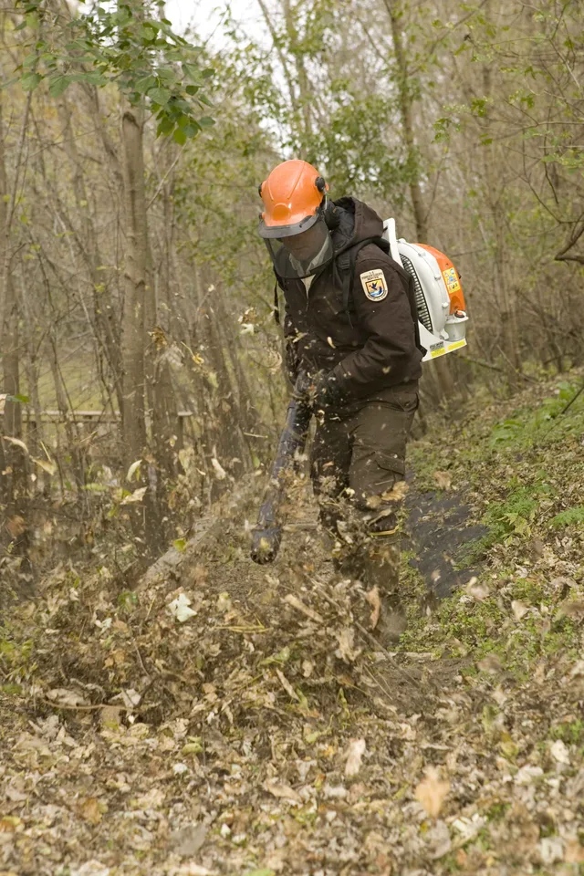 Worker clearing a path with a handheld leaf blower